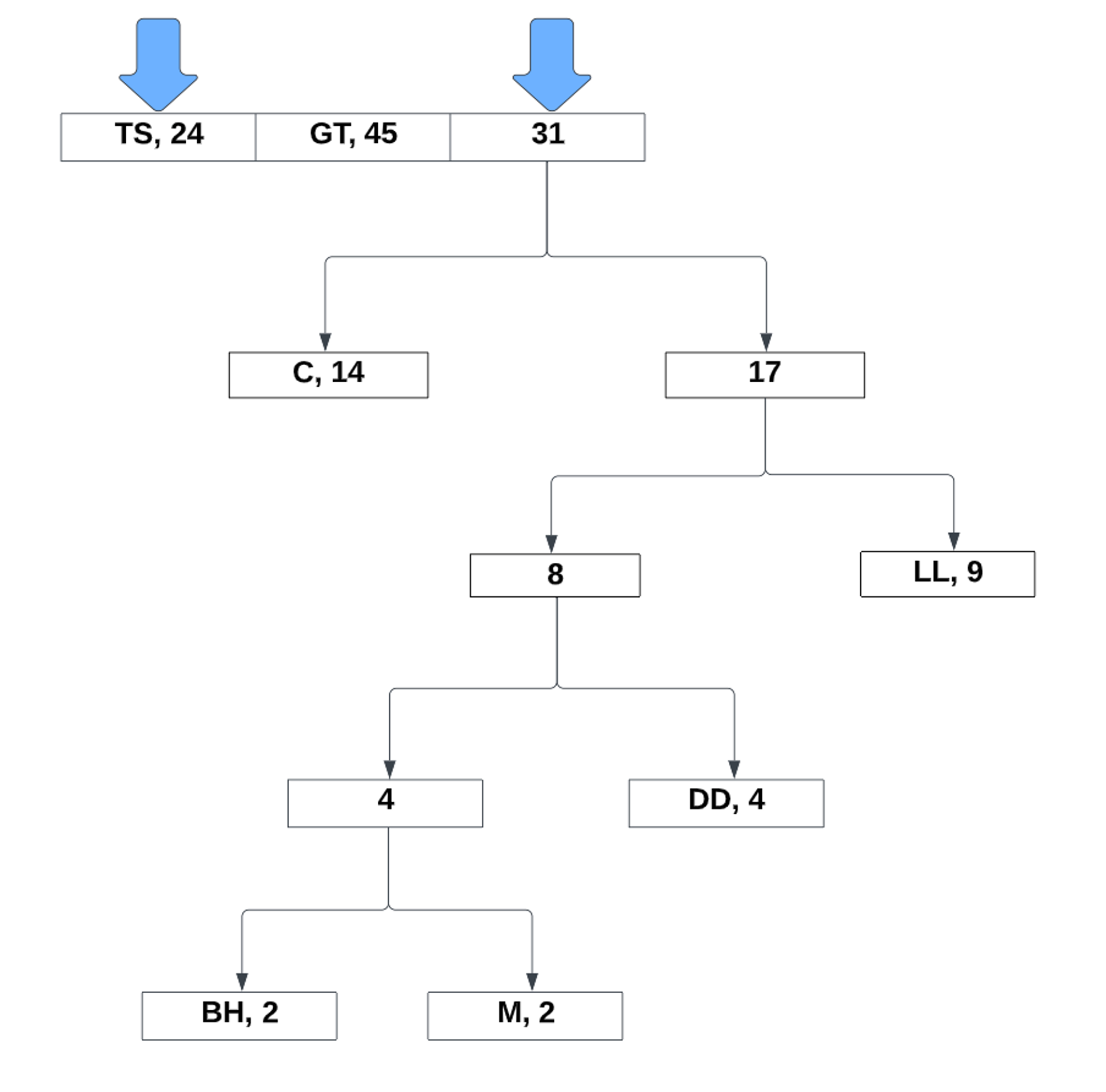 hoffman_encoding_10.png